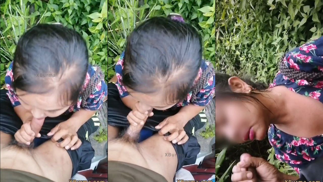 တောထဲဒီလိုက်ပြိး လီးစုပ်ပေးတဲ့စော်